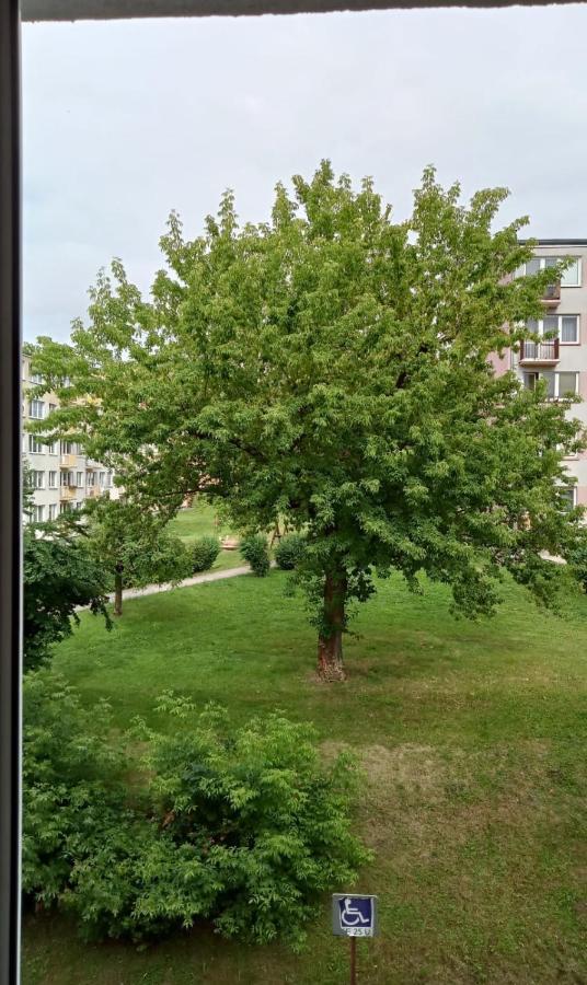 Apartament Mazury Kętrzyn Eksteriør bilde