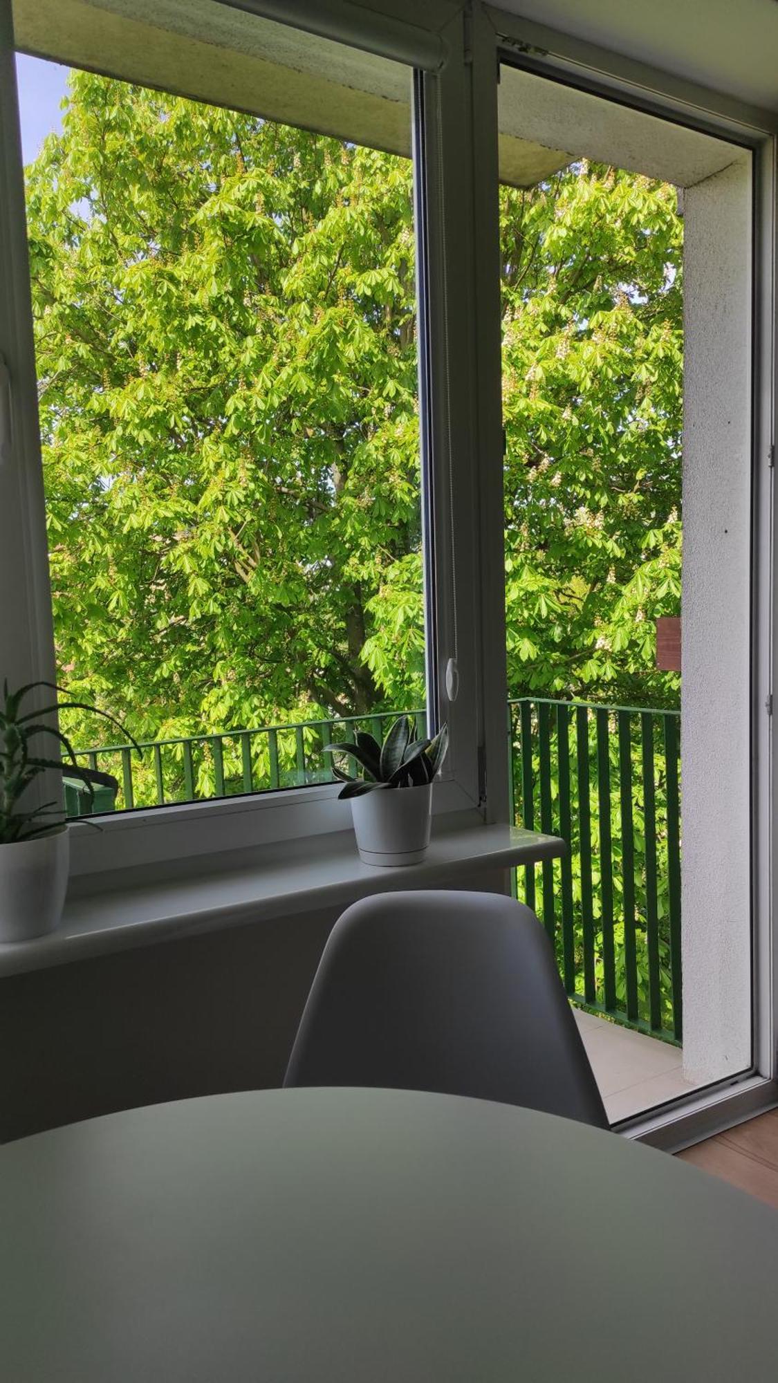 Apartament Mazury Kętrzyn Eksteriør bilde